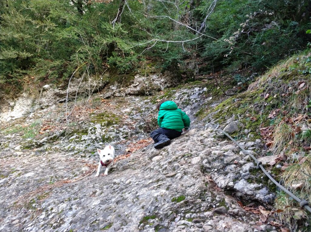 Niño bajando por un tramo equipado con cuerda en la ruta al pont cabradis