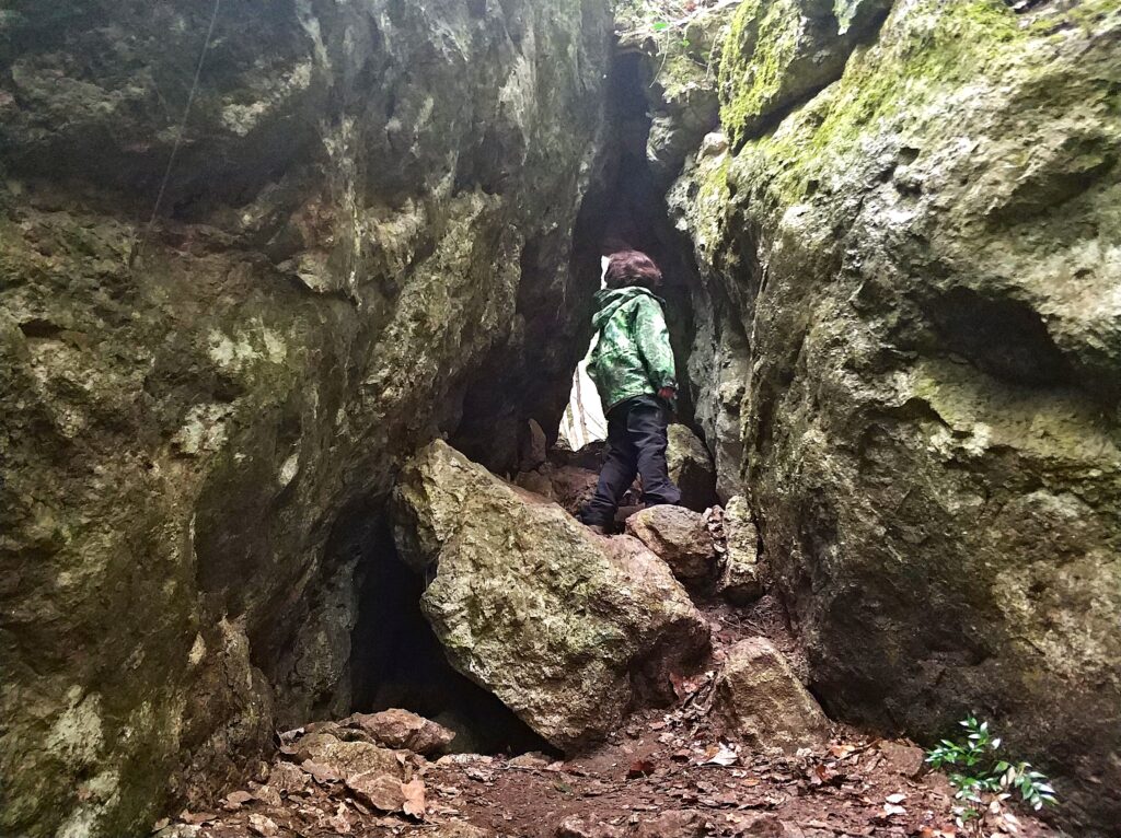 ruta hacia la cova de les gralles