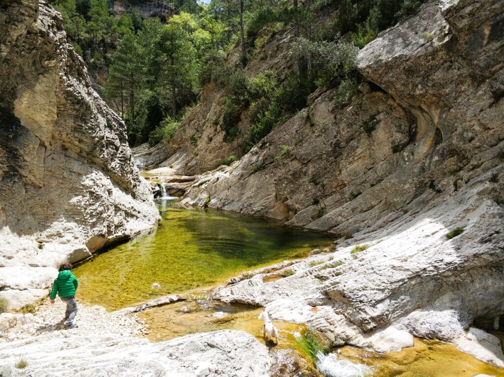 niño y perro sobre el lecho del río en la pesquera, beceite