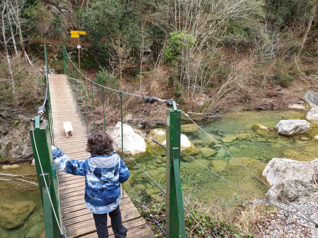 Niño y perro cruzando un puente colgante durante la ruta al salt del brull en la garrotxa