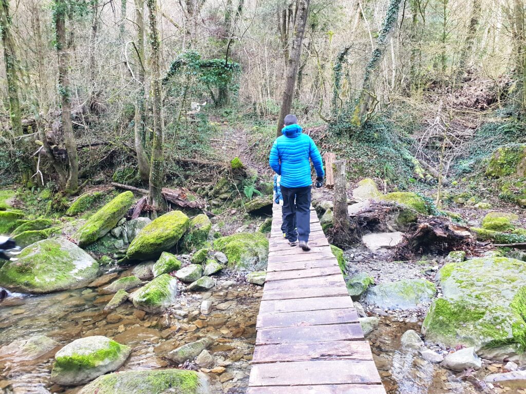 persona pasando por un puente de madera rodeado de naturaleza en la ruta del salt de l'olla en la garrotxa
