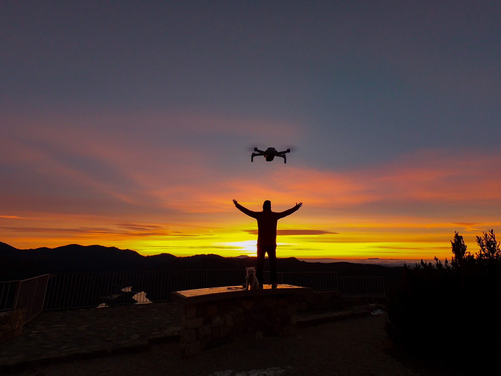 Persona volando drone DJI Mini al atardecer en la naturaleza con su perra