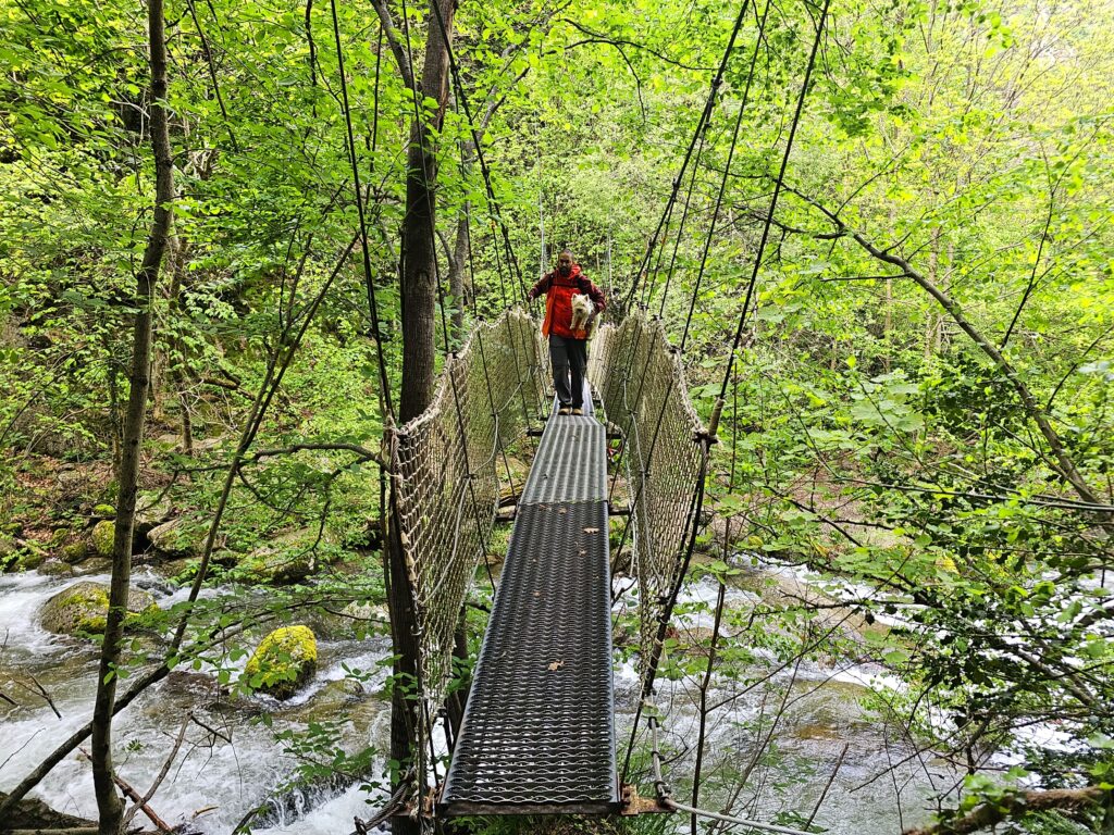 persona con perro en brazos para cruzar un puente colgante en gorges carança, francia