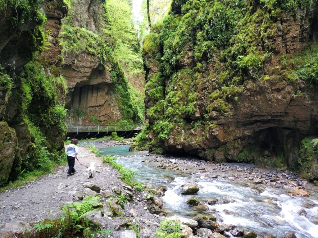 Persona con perra caminando junto al río turquesa en las Gorges de Kakuetta, Pirineo vasco francés