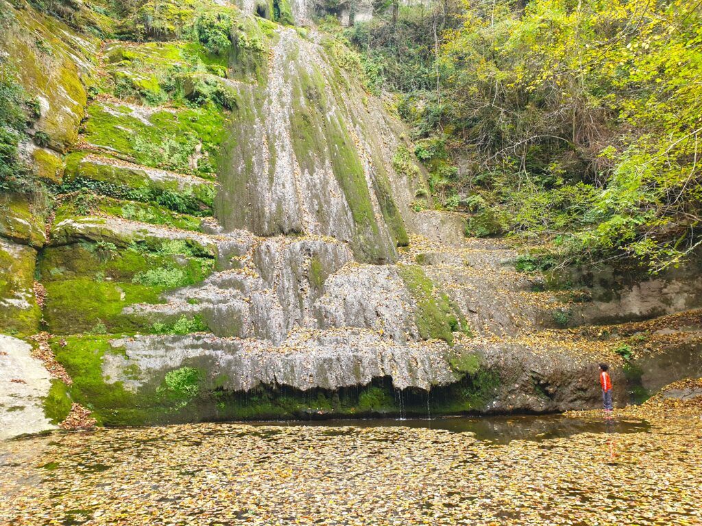 niño frente al salt de l'olla en otoño inundado de hojas