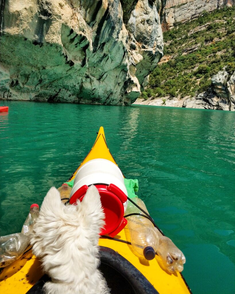 Perra en la proa del kayak amarillo recogiendo basura en el Congost de Mont Rebei