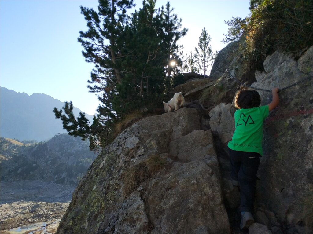 niño ayudandose de una cadena en un paso de montaña en aiguestortes